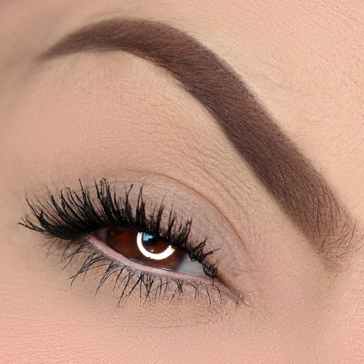 Lapiseira Para Olhos Bege – Cat Lovers – Vizzela - Image 4